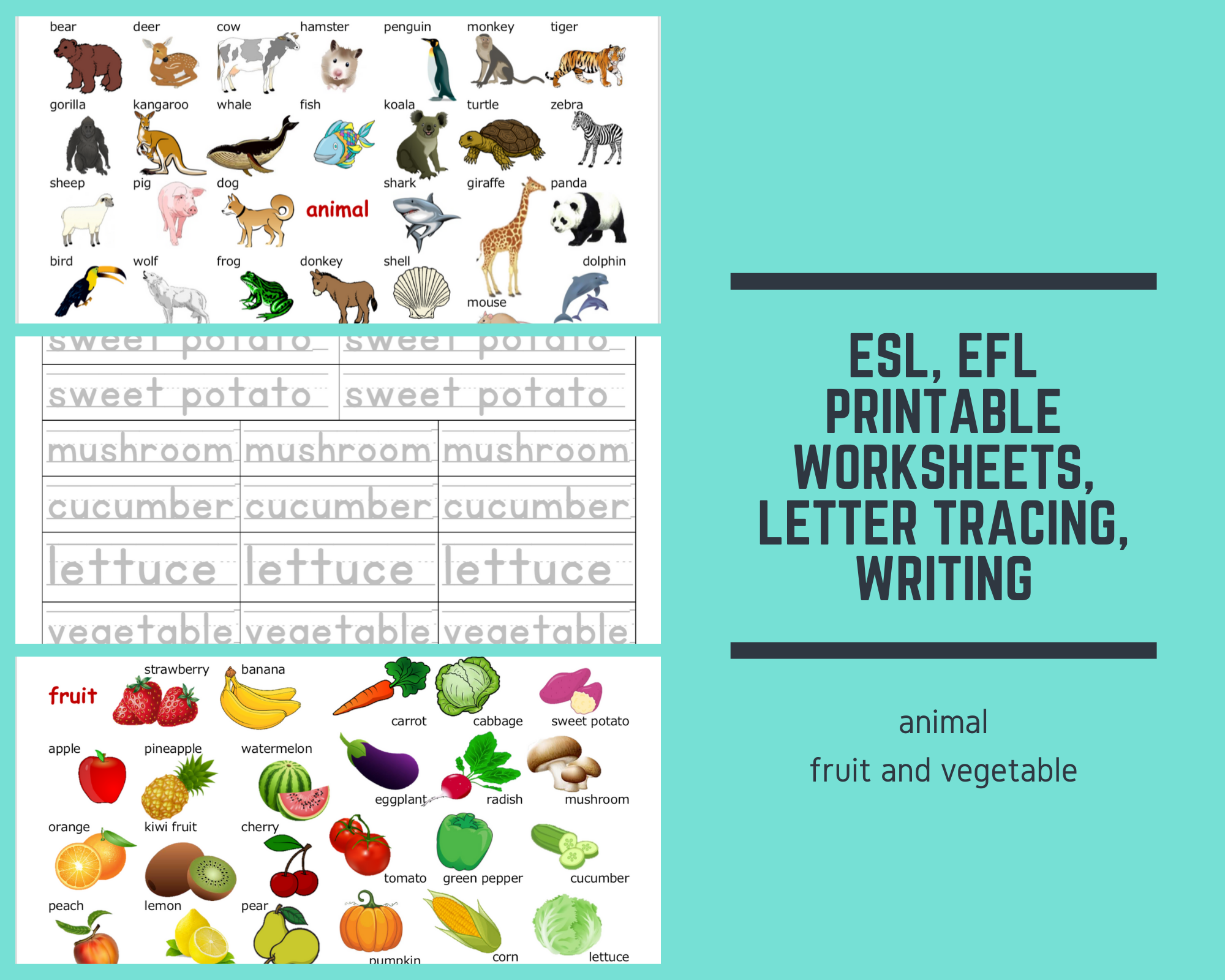 ESL, EFL printable worksheets, Letter tracing, Writing - Animal, fruit and vegetable