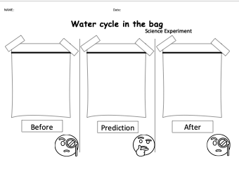 Water Cycle in a Bag Experiment worksheet