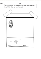 Water Cycle in a Bag assessment worksheet